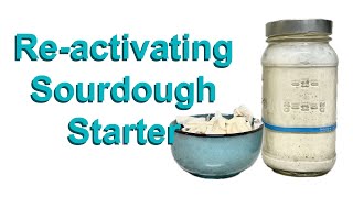 Reactivating Dried Sourdough Starter [upl. by Atalee]