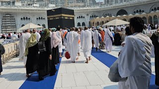 Kaaba Live 🔴 Today  14 November 2024  Tawaf e Kaaba Masjid Al Haram  Visiting KAABA Sharif [upl. by Jochbed343]