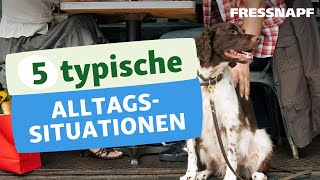 Alltagssituationen mit Hund  Hundeerziehung  FRESSNAPF [upl. by Arrik222]