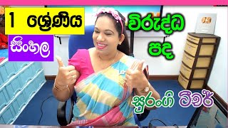 Sinhala Lessons Grade 1 Virudda Pada Grade 1 විරුද්ධ පද Wirudhdha Pada Sinhala Akuru Hodiya [upl. by Kisor]