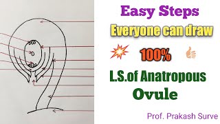 How to draw LSOf Anatropus Ovule Draw Easily Step by Step By Prof Prakash Surve Moderator [upl. by Yentruoc]