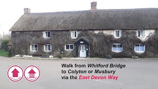 Walking East Devon Way  Whitford Link  AONB [upl. by Oraneg]