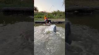 Unique hook fishing indianladyhookfishing fishvideo fishingmethods villagehookfishing [upl. by Romo]