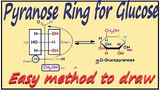 Cyclic Structure of Glucose  Pyranose Ring for Glucose  Carbohydrates [upl. by Sylera]