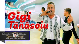 GIGI TANASOIU 🎤 FORMATIA CRINUL DIN TG JIU ✅ COLAJ DE SARBE PENTRU PATIMASI ✅ NUNTA RAZVAN SI MIRELA [upl. by Yecaj]