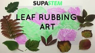 Leaf Rubbing Art  Simple NatureBased Activity  The SUPA STEM Club [upl. by Holtorf79]