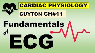 Physiology Guyton Ch11  Fundamentals of Electrocardiography  ECG  Cardiac Physiology [upl. by Ziana495]