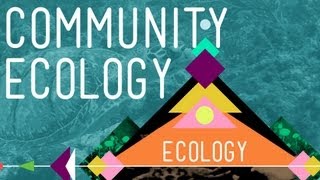 Community Ecology Feel the Love  Crash Course Ecology 4 [upl. by Nalyk]