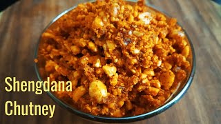 सोलापूरची खमंग शेंगदाणा चटणी Solapuri Shengdana Chutney  Solapur special groundnut Chutney [upl. by Ardin]