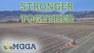 Stronger Together United Voice in Agriculture  Dale Flikkema  MGGA 2024 Secretary [upl. by Nye131]