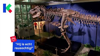 Deze Trex komt naar België [upl. by Key]