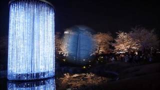 六本木ヒルズ 毛利庭園 満開の桜 昼と夜 2015 「六本木之丘」的「毛利庭園」夜晚的櫻花。 [upl. by Grosz]