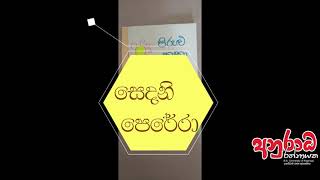 පිරුළු කතා pirulu katha anuradha rathnayaka [upl. by Sandi849]