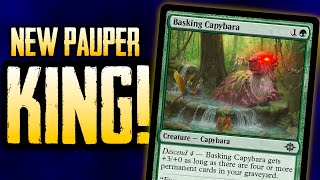 3 NEW MTG Pauper Decks to Try EARLY From Lost Caverns of Ixalan [upl. by Ycart]