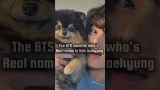 BTS V Announces Passing Of His Dog Yeontan 💔 vbts yeontan [upl. by Aivax]