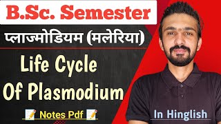 Life Cycle Of Plasmodium Malaria  Bsc Semester  By Dadhich Sir [upl. by Blunk]