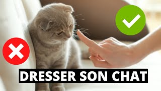 Tuto  Comment dresser son chat [upl. by Tisha]