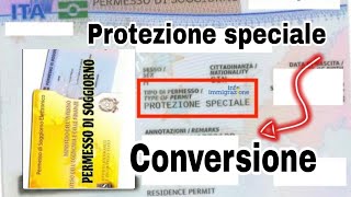 Protezione speciale si può convertire in lavoro [upl. by Adran]