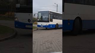 Coach in Dębno [upl. by Korten]