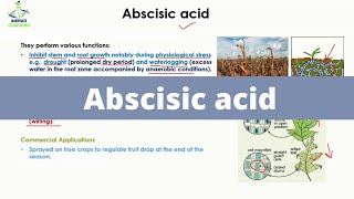 Abscisic acid  Plant Hormone  Phytohormones [upl. by Ahcarb]