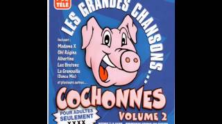 Les Grandes Chansons Cochonnes  Le Jeune Niaiseux [upl. by Adaner]