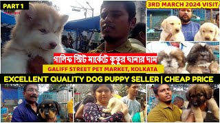 Excellent Quality Dog Puppy SellerGaliff Street Biggest Pet Market WBCheap Price3rd March 2024 [upl. by Fulbert]