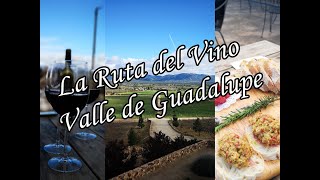 Valle de Guadalupe Baja California🍷 La Ruta del Vino Las mejores vinícolas CONSEJOS TIPS PRECIOS [upl. by Onurb]