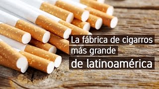 La fábrica de cigarros más grande de Latinoamérica [upl. by Raphael]