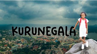 Going to Kurunegala town with my mom🥰❤️🚶‍♀️ leisure kurunegala srilanka vlogs [upl. by Deedee]