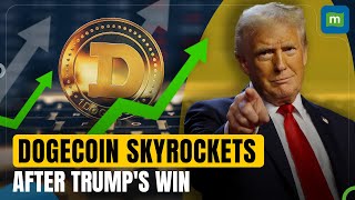 Dogecoin Soars After Trump’s Election Win Boosted by ProCrypto Stance and Musks Support  N18G [upl. by Haimorej]