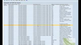 Reporte para Evaluación de Perfil de Usuario SAP [upl. by Tomasz]