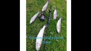 Rainbow trout fishing at ferntree gully quarry [upl. by Zahavi]