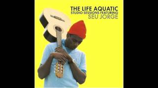 Seu Jorge  Rebel Rebel [upl. by Ainerbas373]