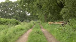 Nature Ambience Old Country Trail with Bird and Cattle Sounds [upl. by Ishii]