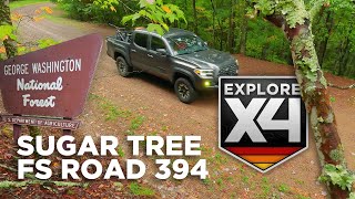 Toyota Tacoma Exploring Sugar Tree  George Washington National Forest [upl. by Ariajay710]