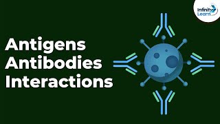 Antigens Antibodies and Interactions  Immunity  Dont Memorise [upl. by Sabec]