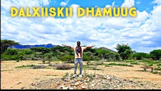 Dalxiiskii ceelka dhamuug [upl. by Ithaman279]