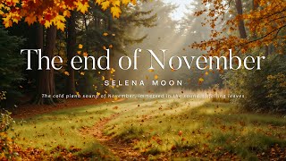 The cold piano sound of November🍃a playlist immersed in the sound of falling leaves🍁🍂 [upl. by Yggam]