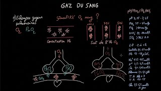 Gaz du sang  Partie 1  Docteur Synapse [upl. by Marianne]