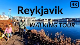 Iceland Reykjavik in November Sunny Stroll by Lake Tjörnin and Downtown Exploration [upl. by Llehsor]