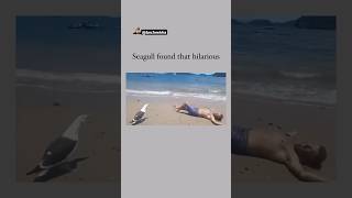 Oh My God😰Wait For End😳He made that Bird Laugh😳😂 viralcontent reels tiktok animals funny [upl. by Bibeau]