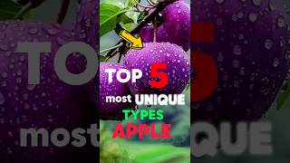 Top 5 rarest apples you wont believe exist 🤯shorts [upl. by Guibert]