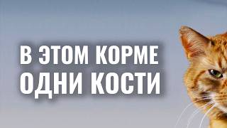 Как выбрать кошке хороший корм а не отбросы мясопроизводства [upl. by Leonelle]