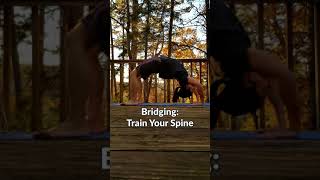 BODYWEIGHT BRIDGE Tutorial [upl. by Ekram843]