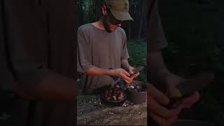 How To Survival Part 79bushcraftskills bushcraftsurvival campingsolo Camping outdoors [upl. by Rhianna253]