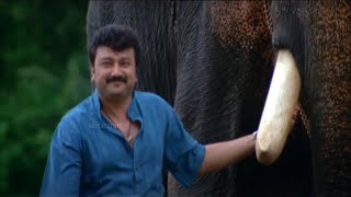 Aanachandham ആനച്ചന്തം   Evergreen Malayalam Movie  Jayaram amp Ramya Nambeeshan [upl. by Camus]