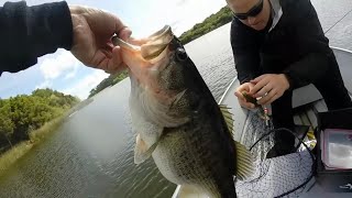 Baitsmith magnum cast to catch [upl. by Nalon]