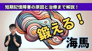 【海馬 鍛える！】記憶障害 作業記憶短期記憶長期記憶 看護 役割まで [upl. by Herriott225]