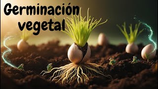 ¿Por qué es importante la germinación en el ciclo de vida vegetal [upl. by Tabbitha]