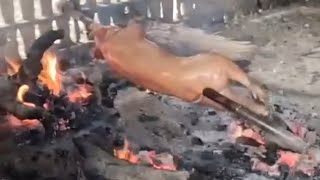 Lets have lechon for occationally in the philippines food pig loop satisfying [upl. by Cathey]